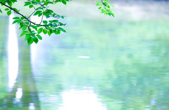 今週の週替わりカレー　10/19~10/23　銀座一丁目カレー専門店Mrs.Dada