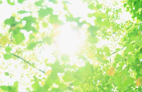 今週の週替わりカレー　10/19~10/23　銀座一丁目カレー専門店Mrs.Dada