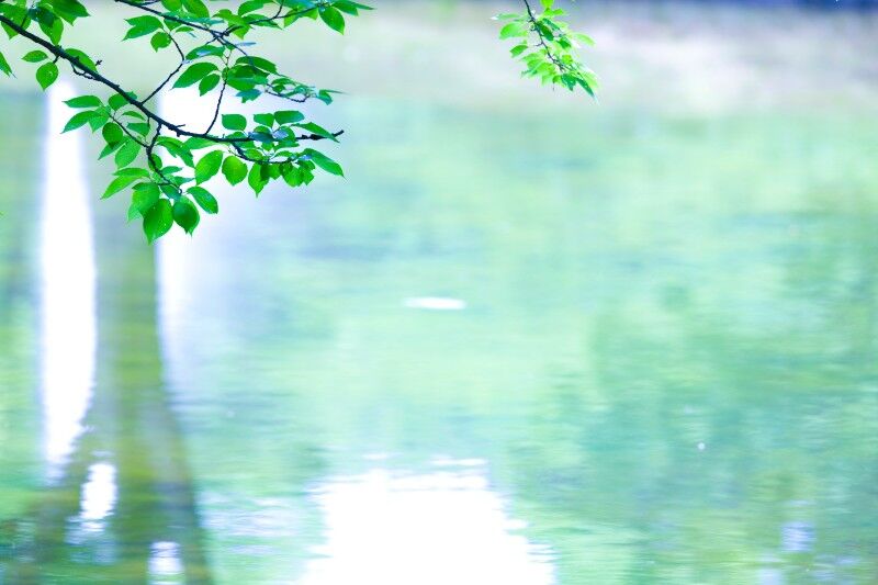 paylessimages141232590